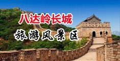 特大鸡巴日小麻逼中国北京-八达岭长城旅游风景区