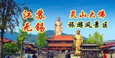 网上搞bb视频江苏无锡灵山大佛旅游风景区